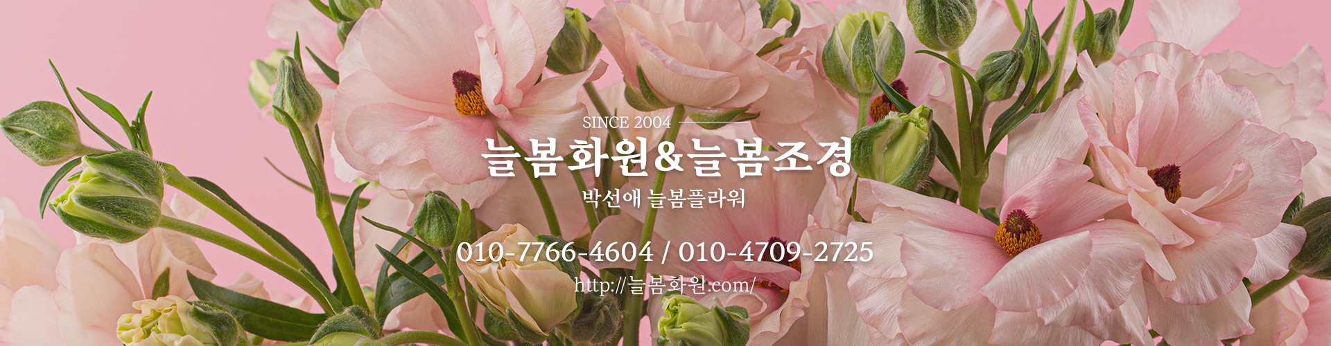 메인 이미지1